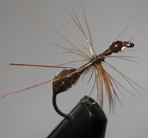 ���� Ant flies ������� ANT 07 ( Brown  EPOXY) Kumho dry � 10